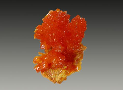 Orpiment<br />Elbrusskiy Mine, Elbrus Mountain, Kabardino-Balkarian Republic, Northern Caucasus Region, Russia<br />1.7 x 2.8 cm<br /> (Author: crosstimber)