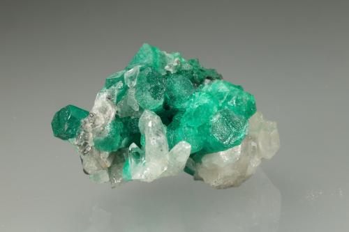 Beryl (variety emerald), Quartz<br />Muzo mining district, Western Emerald Belt, Boyacá Department, Colombia<br />33x24x22mm, xls up to 10mm<br /> (Author: Fiebre Verde)