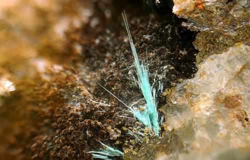 Zalesiita<br />Brezal Mines, Pavías, Comarca Alto Palancia, Castellón / Castelló, Valencian Community / Comunitat Valenciana, Spain<br />Campo de visión de 5 mm.<br /> (Autor: Antonio Carmona)