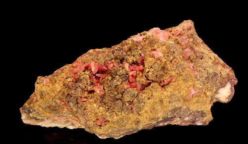 Rhodochrosite<br />Mina Wolf, Herdorf, Siegerland, Renania-Palatinado/Rheinland-Pfalz, Alemania<br />7 cm<br /> (Author: Gerhard Brandstetter)