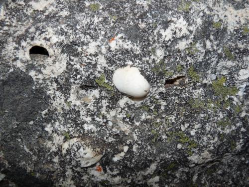 Quartz nodule in sandstone. (Author: Pierre Joubert)