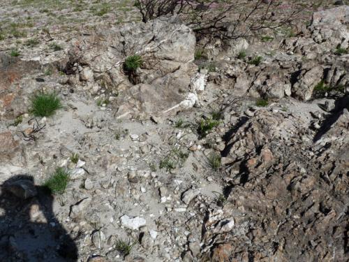 Quartz veins in sandstone. (Author: Pierre Joubert)