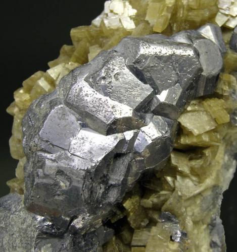 Galena on Siderite<br />Neudorf, Distrito minero Harzgerode, Harz, Sajonia-Anhalt/Sachsen-Anhalt, Alemania<br />Main crystal size: 1.8 × 1.2 cm<br /> (Author: Jordi Fabre)