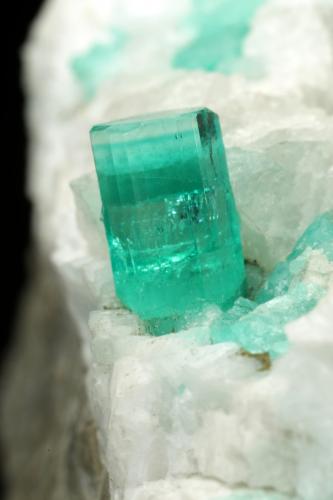 Beryl (variety emerald), Calcite, Pyrite<br />Chivor (distrito minero), Mina El Oriente, Municipio Chivor, Cinturón Esmeraldífero Oriental, Departamento Boyacá, Colombia<br />59x50x33mm, xl=8mm<br /> (Author: Fiebre Verde)