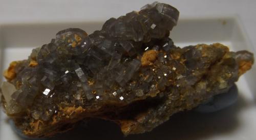Fluorapatite<br />Islas de Megiliggar, Tremearne, Porthleven, Cornwall, Inglaterra / Reino Unido<br />3.1cm x 1.5cm<br /> (Author: markbeckett)