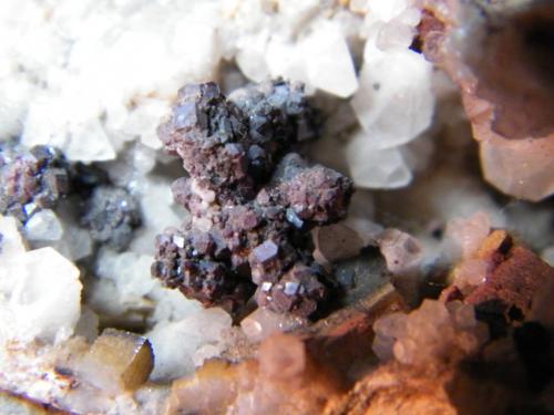 Cuprite and Calcite<br />Mina Tsumeb, Tsumeb, Región Otjikoto, Namibia<br />123mm x 76mm x 71mm<br /> (Author: Heimo Hellwig)
