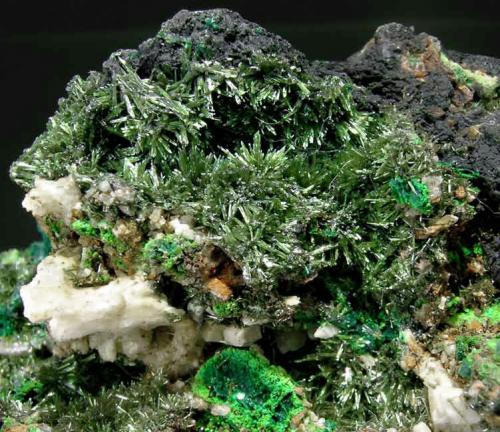 Olivenite with Malachite<br />Wheal Gorland, Saint Day, Camborne - Redruth - Saint Day District, Cornwall, England / United Kingdom<br />Main crystal size: 0.4 × 0.1 cm<br /> (Author: Jordi Fabre)