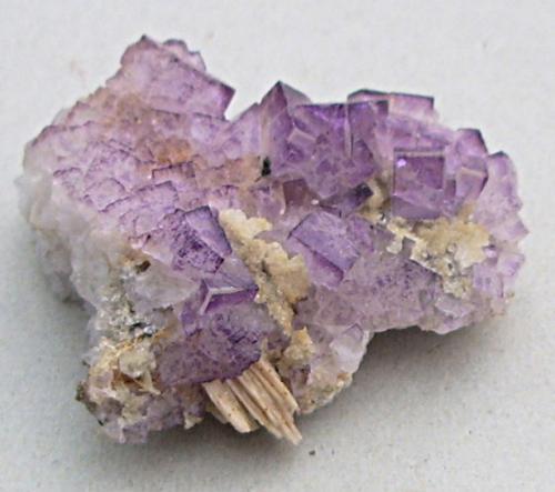 Fluorite<br />Coldstones Quarry, Sun vein, Greenhow, Yorkshire, England / United Kingdom<br />8 cm<br /> (Author: colin robinson)