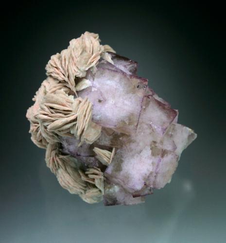 Fluorite with Barite<br />Coldstones Quarry, Greenhow, Yorkshire, England / United Kingdom<br />7x6x5 cm overall size<br /> (Author: Jesse Fisher)