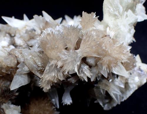 Strontianite, Calcite<br />Mina Minerva I, Grupo Ozark-Mahoning, Sub-Distrito Cave-in-Rock, Condado Hardin, Illinois, USA<br />125mm x 100mm x 75mm<br /> (Author: Don Lum)