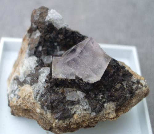 Fluorite<br />Middlehope Shield Mine, Shield Close level, Westgate, Weardale, North Pennines Orefield, County Durham, England / United Kingdom<br />2.5cm<br /> (Author: colin robinson)