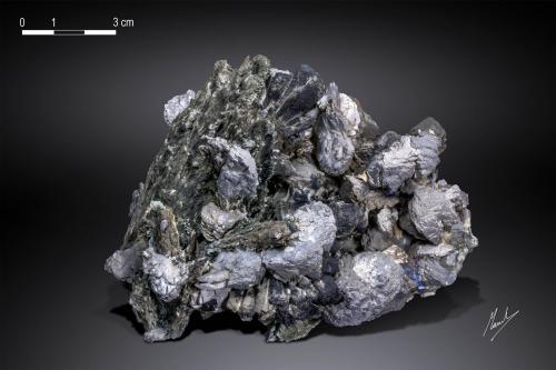 Hedenbergita and Arsenopyrite<br />Huanggang Mines, Hexigten Banner (Kèshíkèténg Qí), Chifeng (Ulanhad), Inner Mongolia Autonomous Region, China<br />114 x 86 mm<br /> (Author: Manuel Mesa)