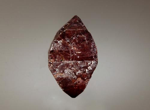 Zircon<br />Complejo alcalino Peixe, Peixe, Tocantins, Región Norte, Brasil<br />1.2 x 2.1 cm<br /> (Author: crosstimber)