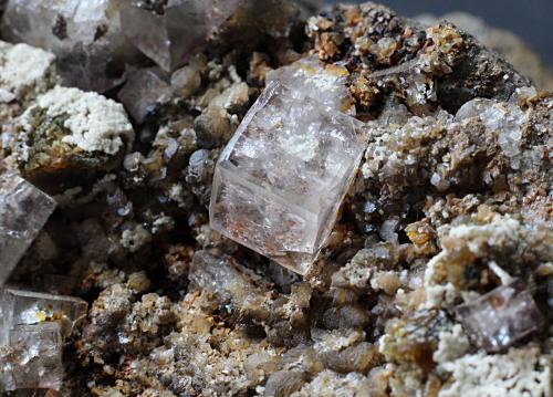 Fluorite<br />Birkett Common Mine, Mallerstang, North Pennines Orefield, former Westmorland, Cumbria, England / United Kingdom<br />6mm<br /> (Author: colin robinson)