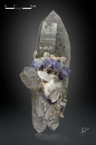 Fluorite on Quartz<br />Yaogangxian Mine, Yizhang, Chenzhou Prefecture, Hunan Province, China<br />138 x 73 mm<br /> (Author: Manuel Mesa)