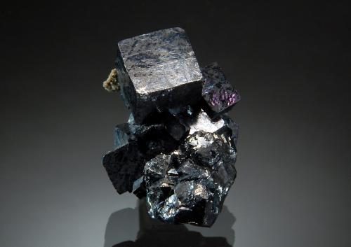 Galena<br />Sweetwater Mine, Ellington, Viburnum Trend District, Reynolds County, Missouri, USA<br /><br /> (Author: crosstimber)