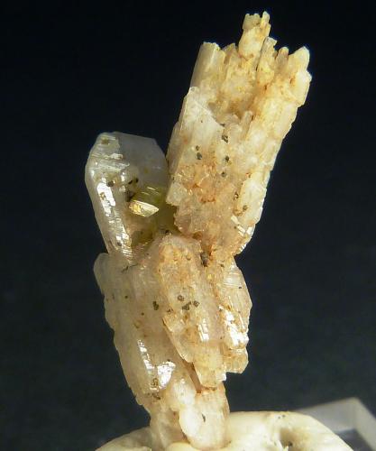 Albita<br />Oficarsa Quarry, De las Culebras Hill, Carchelejo, Cárcheles, Comarca Sierra Mágina, Jaén, Andalusia, Spain<br />10 x 5 mm.<br /> (Autor: Felipe Abolafia)