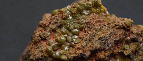 Mimetita (variedad campyllita)<br />Filón Sur open pit, Minas de Tharsis, Tharsis, Alosno, Comarca El Andévalo, Huelva, Andalusia, Spain<br />6 x 4 x 3 cm<br /> (Autor: Antonio Alcaide)