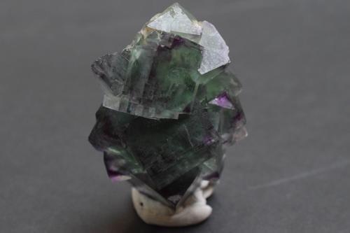 Fluorita<br />Mina Okorusu, Distrito Otjiwarongo, Región Otjozondjupa, Namibia<br />6 x 4 x 3 cm<br /> (Autor: Antonio Alcaide)