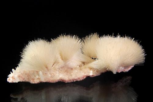 Mesolite<br />Lonavale (Lonavala), Pune District (Poonah District), Maharashtra, India<br />4.5 x 11.7 cm<br /> (Author: crosstimber)
