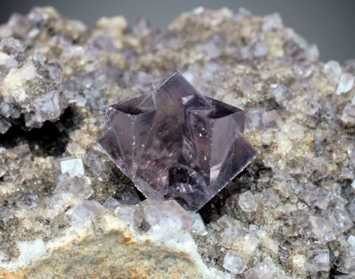 Fluorite<br />Newlandside Quarry, Stanhope, Weardale, North Pennines Orefield, County Durham, England / United Kingdom<br />crystal is 2.2 cm across<br /> (Author: Jesse Fisher)