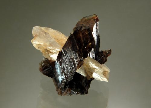 Axinite-(Fe)<br />Pozo Bor, Depósito Dalnegorsk B, Dalnegorsk, Distrito urbano Dalnegorsk, Primorsky Krai, Rusia<br />2.8 x 2.9 cm<br /> (Author: crosstimber)