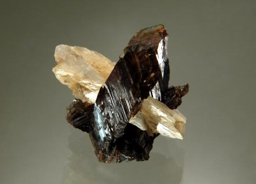 Axinite-(Fe)<br />Bor Pit, Dalnegorsk B deposit, Dalnegorsk, Dalnegorsk Urban District, Primorsky Krai, Russia<br />2.8 x 2.9 cm<br /> (Author: crosstimber)