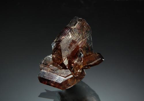 Axinite-(Fe)<br />New Melones Dam, Jamestown, Calaveras County, California, USA<br />1.5 x 2.0 cm<br /> (Author: crosstimber)