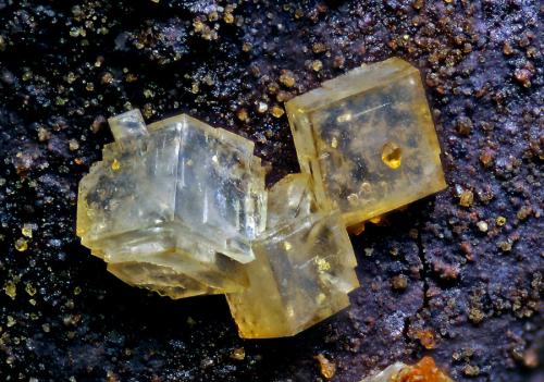 Natropharmacoalumita<br />María Josefa Mine, Rodalquilar, Níjar, Comarca Metropolitana de Almería, Almería, Andalusia, Spain<br />FOV 1mm<br /> (Autor: Carlos Pareja)