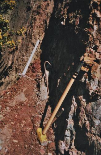 A 'crosscourse' vein<br />Cantera Penlee, Mousehole, Municipio Penzance, Cornwall, Inglaterra / Reino Unido<br />a few metres<br /> (Author: markbeckett)