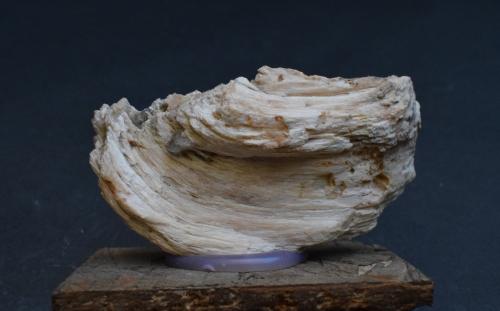 Celestina<br />Fonelas, Comarca Guadix, Granada, Andalucía, España<br />7 x 4 x 2 cm<br /> (Autor: Antonio Alcaide)