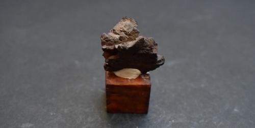 Goethita pseudomórfica de Marcasita<br />Mogón, Villacarrillo, Comarca Las Villas, Jaén, Andalucía, España<br />3 x 2,5 x 1,5 cm<br /> (Autor: Antonio Alcaide)