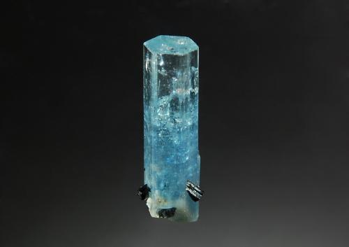 Beryl var. aquamarine<br />Erongo Mountain, Usakos, Erongo Region, Namibia<br />1.0 x 2.5 cm<br /> (Author: crosstimber)