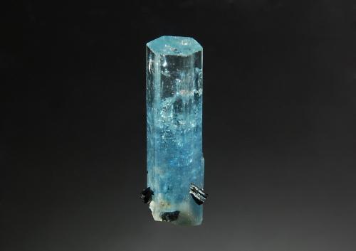 Beryl var. aquamarine<br />Erongo Mountain, Usakos, Erongo Region, Namibia<br />1.0 x 2.5 cm<br /> (Author: crosstimber)