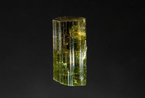 Vesuvianite<br />Bellecombe, Châtillon, Aosta Valley (Val d'Aosta), Italy<br />1.0 x 2.0 cm<br /> (Author: crosstimber)