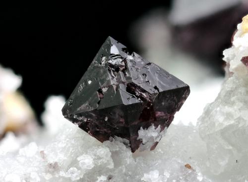 Spinel<br />Sierra de Mijas, Mijas, Comarca Costa del Sol Occidental, Málaga, Andalucía, España<br />FOV 8mm<br /> (Author: Carlos Pareja)