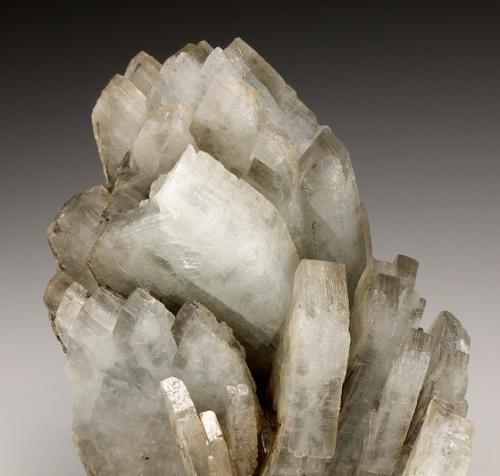 Baryte<br />Cartersville, Distrito Cartersville, Condado Bartow, Georgia, USA<br />8.0cm x 7.0cm<br /> (Author: rweaver)