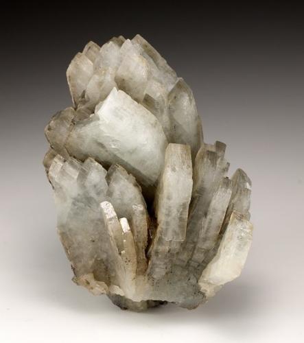 Baryte<br />Cartersville, Distrito Cartersville, Condado Bartow, Georgia, USA<br />8.0cm x 7.0cm<br /> (Author: rweaver)