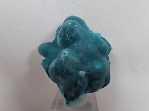 Rosasite<br />Ojuela Mine, Mapimí, Municipio Mapimí, Durango, Mexico<br />40 mm x 35 mm x 15 mm<br /> (Author: Don Lum)