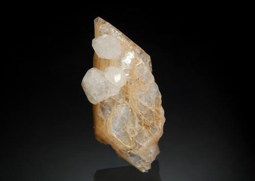 Analcime<br />Cabo Blomidon, Bahía de Fundy, Condado Kings, Nueva Escocia, Canadá<br />1.7 x 3.5 cm<br /> (Author: crosstimber)