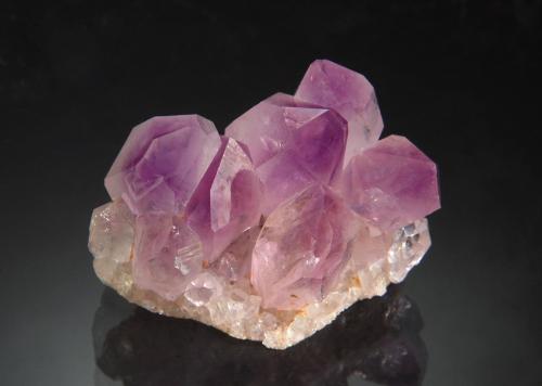 Quartz var. amethyst<br />Jacksons Crossroads, Wilkes County, Georgia, USA<br />2.0 x 3.0 cm<br /> (Author: crosstimber)