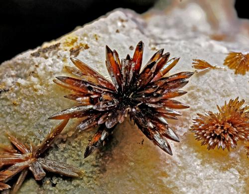 Vanadinite<br />El Centenillo Mine, Cortijo del Humo, Cerro de las Minas, Albuñuelas, Comarca Valle de Lecrín, Granada, Andalusia, Spain<br />FOV 5mm<br /> (Author: Carlos Pareja)