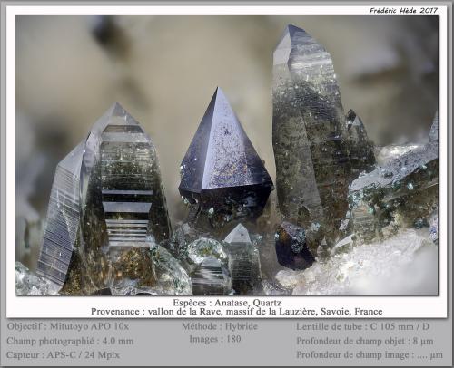 Anatase<br />Vallon de la Rave, Macizo La Lauzière, Saint-Jean-de-Maurienne, Saboya, Auvergne-Rhône-Alpes, Francia<br />fov 4.0 mm<br /> (Author: ploum)