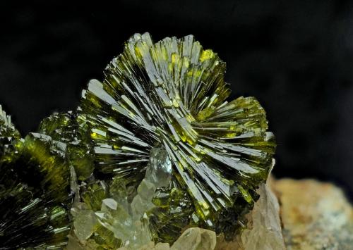 Epidote<br />Imilchil area, Anti-Atlas, Er Rachidia Province, Drâa-Tafilalet Region, Morocco<br />FOV 15mm<br /> (Author: Carlos Pareja)