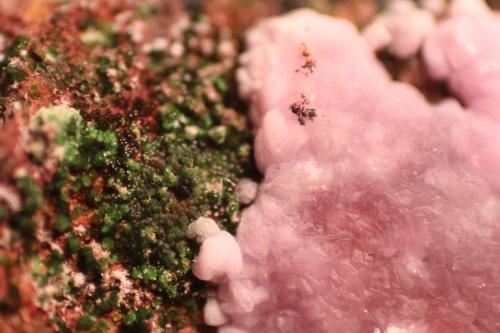 Calcite and Conichalcite.<br />La Cena del Depósito Claim, Huércal-Overa, Comarca Levante Almeriense, Almería, Andalusia, Spain<br />10 cm x 6 cm x 4 cm<br /> (Author: franjungle)