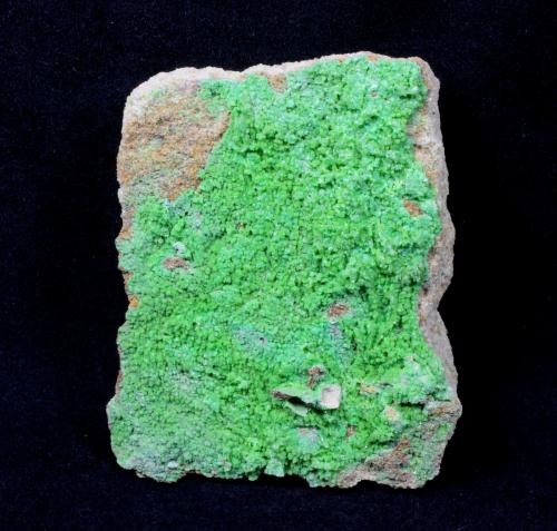 Pyromorphite<br />Mina Gute Hoffnung, (Bescheid), Bleibuir, Mechernich, Euskirchen, Eifel, Renania-Palatinado/Rheinland-Pfalz, Alemania<br />93 mm x 75 mm x 30 mm<br /> (Author: Don Lum)