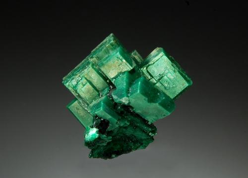 Metatorbernite<br />Margabal Mine, Entraygues-sur-Truyère, Lot et Truyère, Rodez, Aveyron, Occitanie, France<br />1.8 x 1.8 cm<br /> (Author: crosstimber)