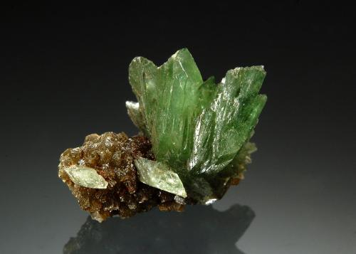 Ludlamite<br />Huanuni Mine, Huanuni, Dalence Province, Oruro Department, Bolivia<br />1.4 x 1.5 cm<br /> (Author: crosstimber)