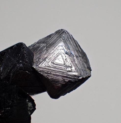 Magnetite<br />Laila base camp area, Ghanche District, Gilgit-Baltistan (Northern Areas), Pakistan<br />45 mm x 25 mm x 17 mm<br /> (Author: Don Lum)