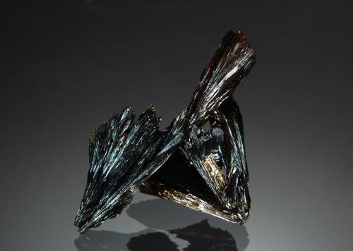 Goethite<br />Lake George, Park County, Colorado, USA<br />2.5 x 3.0 cm<br /> (Author: crosstimber)